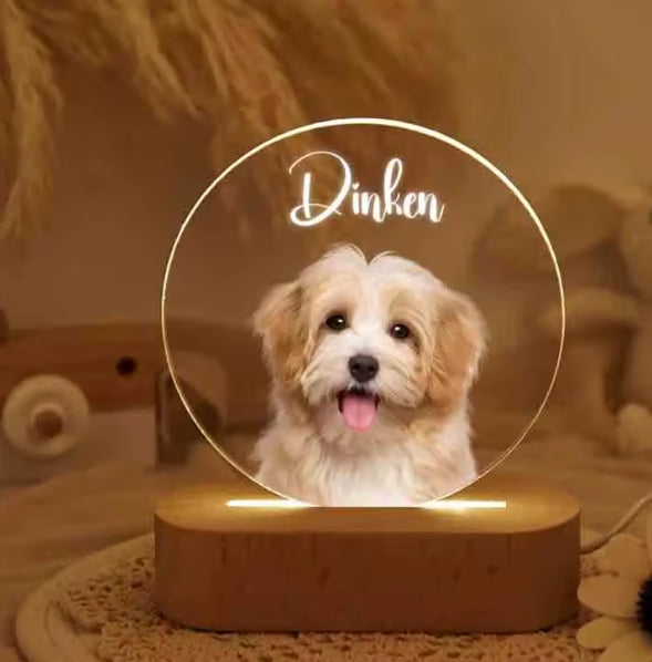 3D Huisdier Fotolamp DIY