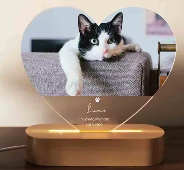 3D Huisdier Fotolamp DIY