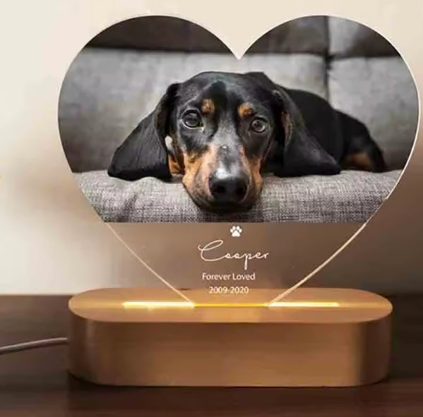 3D Huisdier Fotolamp DIY