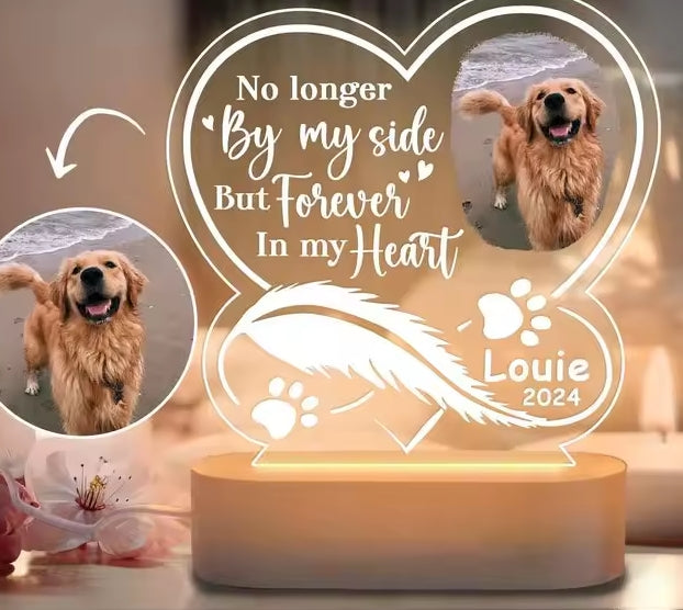 3D Huisdier Fotolamp DIY