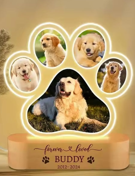 3D Huisdier Fotolamp DIY